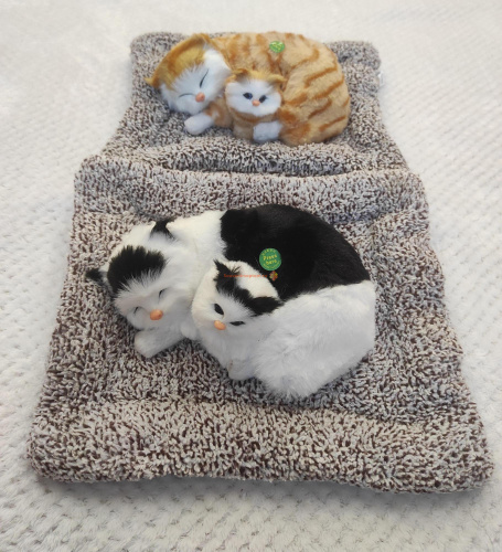 "Кошка с котенком" во Покачи